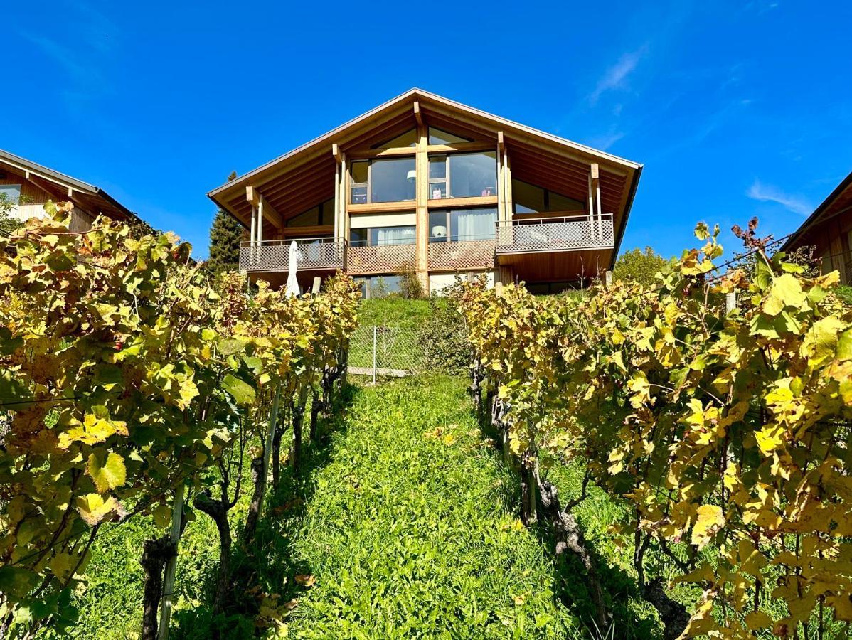 Seaside-Lodge, Top Apartment Spiez Kültér fotó