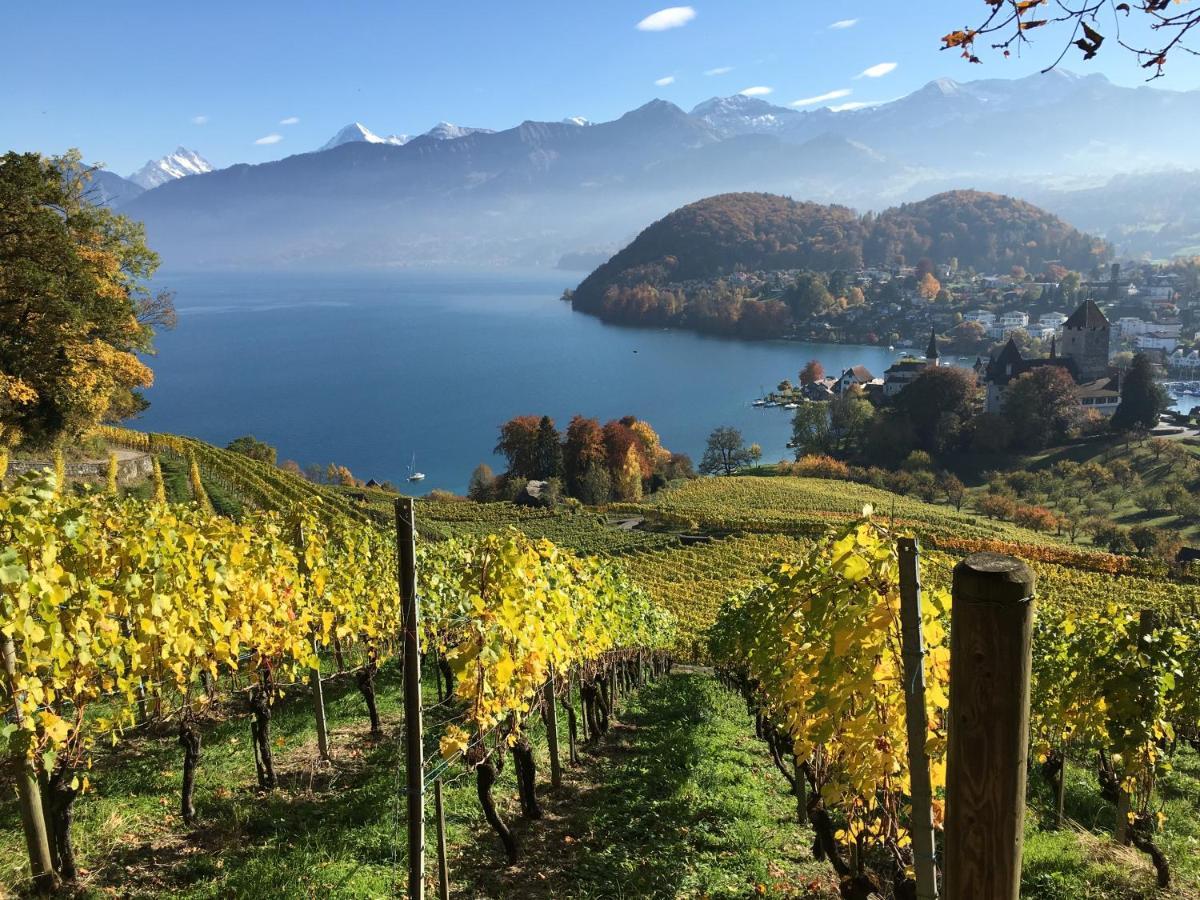 Seaside-Lodge, Top Apartment Spiez Kültér fotó